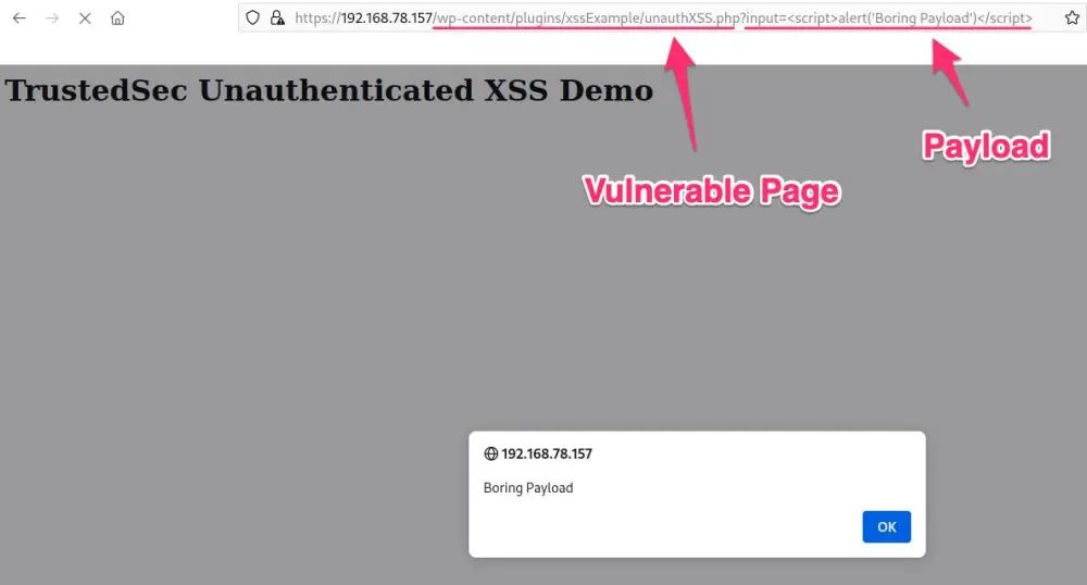 سأقوم بفحص أمني لموقعك واكتشاف الثغرات (SQL Injection و XSS وغيرها) مع تقرير احترافي