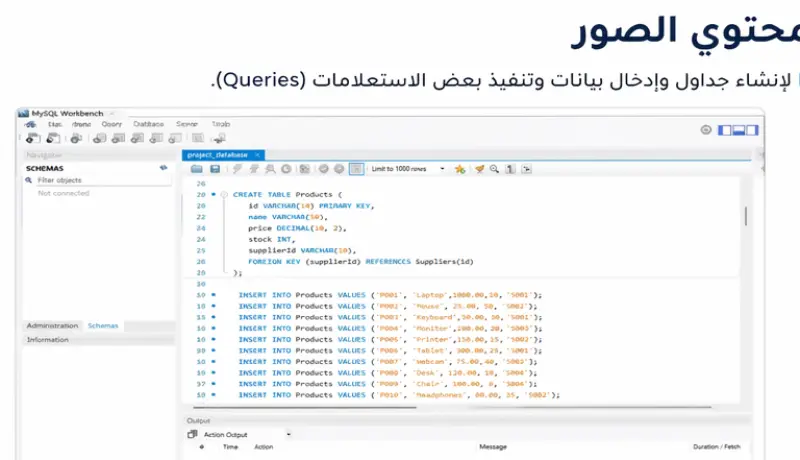تصميم قواعد بيانات باستخدام SQL