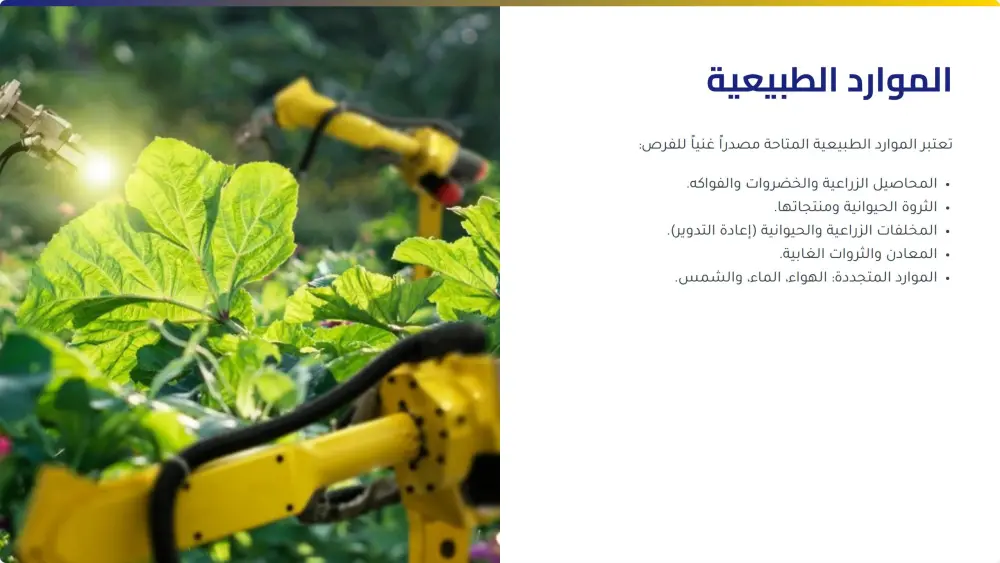 تصميم عروض تقديمية احترافية PowerPoint جذابة ومرتبة