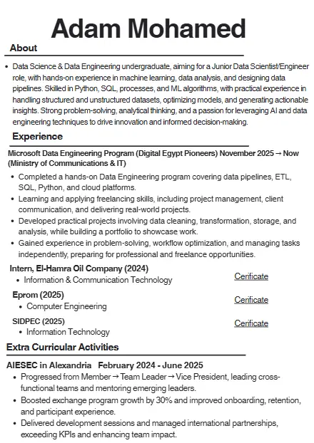كتابة وتصميم سيرة ذاتية احترافية (CV)