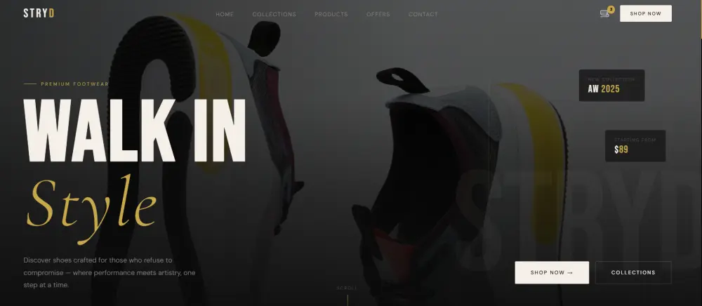 تصميم صفحة هبوط احترافية (Landing Page)