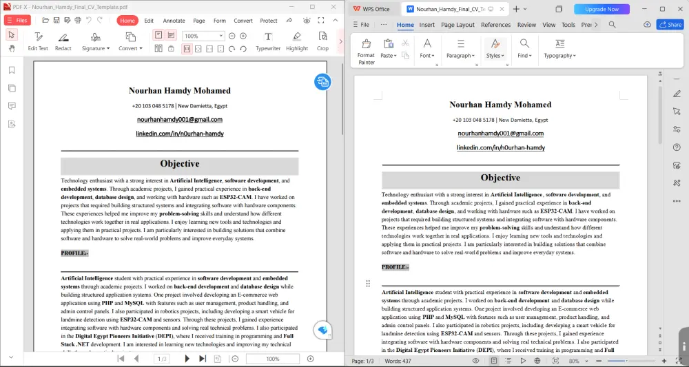 إدخال البيانات من PDF أو الصور إلى Excel وWord بدقة عالية