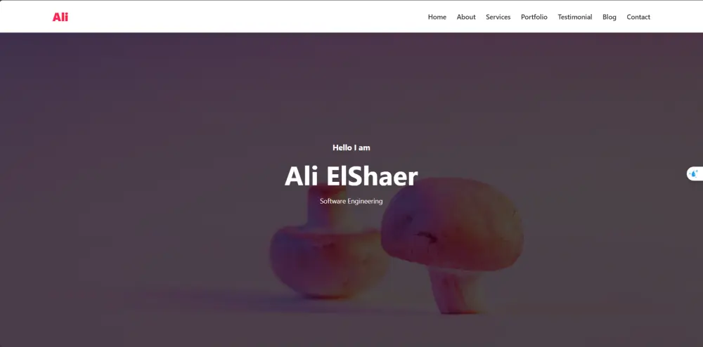 برمجة صفحة هبوط (صفحة هبوط) احترافية وسريعة