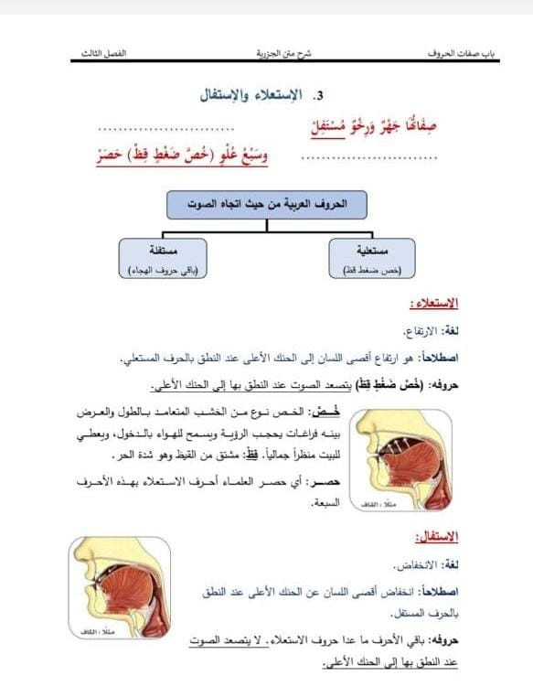 تفريغ كافة أنواع البيانات إلى ملف وورد مرتب بجودة ودقة عالية