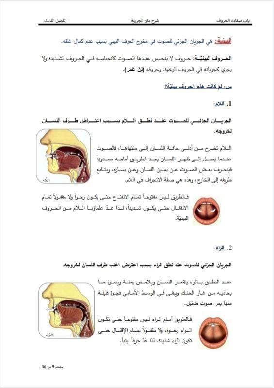 تفريغ كافة أنواع البيانات إلى ملف وورد مرتب بجودة ودقة عالية