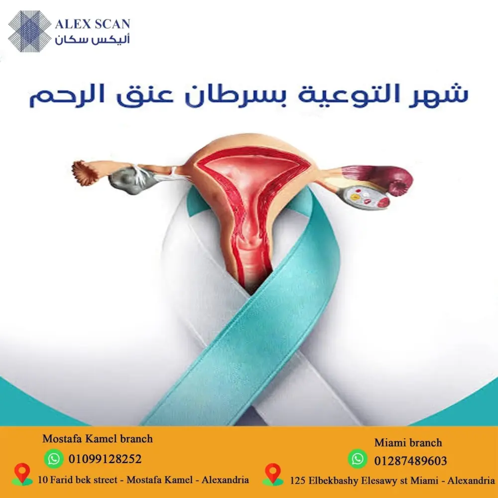 تصميمات سوشيال ميديا