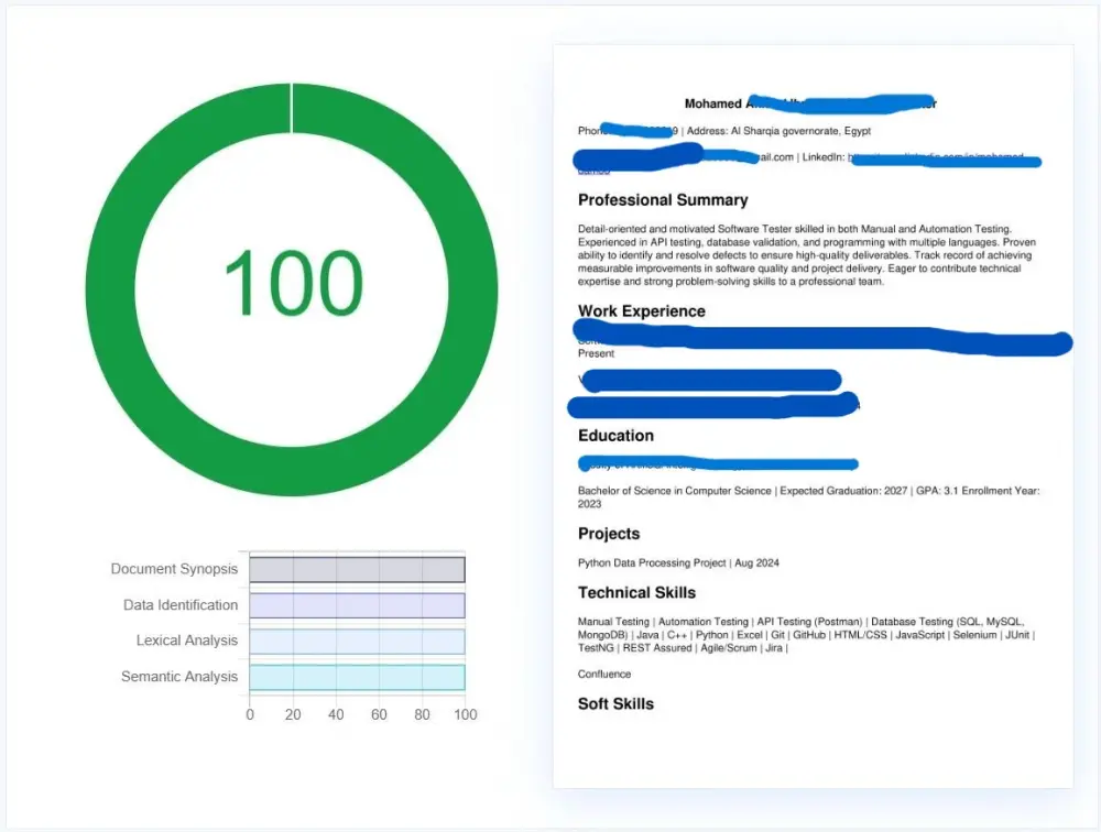 سيرة ذاتية احترافية متوافقة مع Ats بنسبة اعلي من 90%
