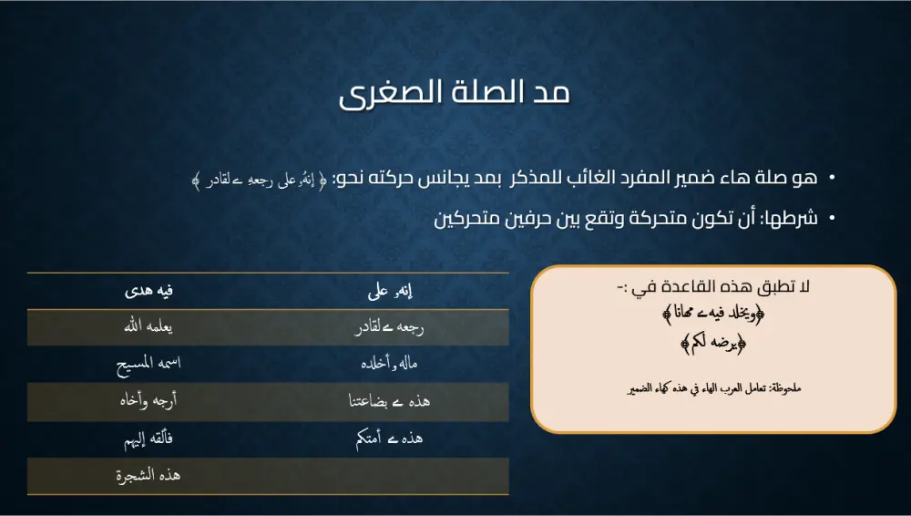 تصميم عروض تقديمية Presentations احترافية