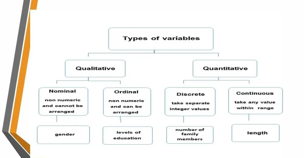 كتابه ابحاث وتقارير علميه  بااللغتين الانجليزي والعربي