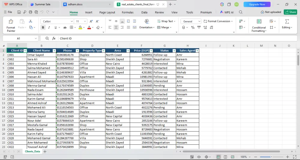 سأقوم بإدخال وتنظيم البيانات باحترافية باستخدام Excel وGoogle Sheets