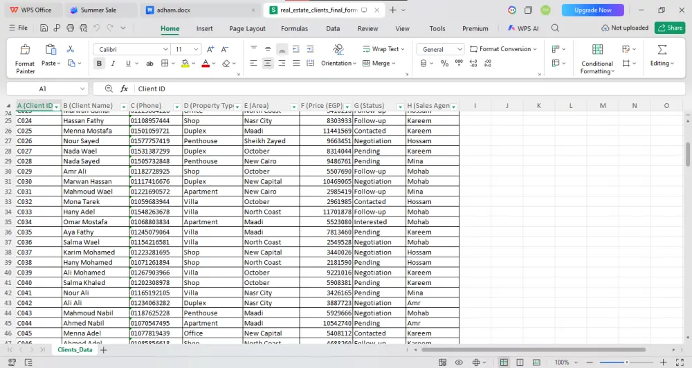 سأقوم بإدخال وتنظيم البيانات باحترافية باستخدام Excel وGoogle Sheets