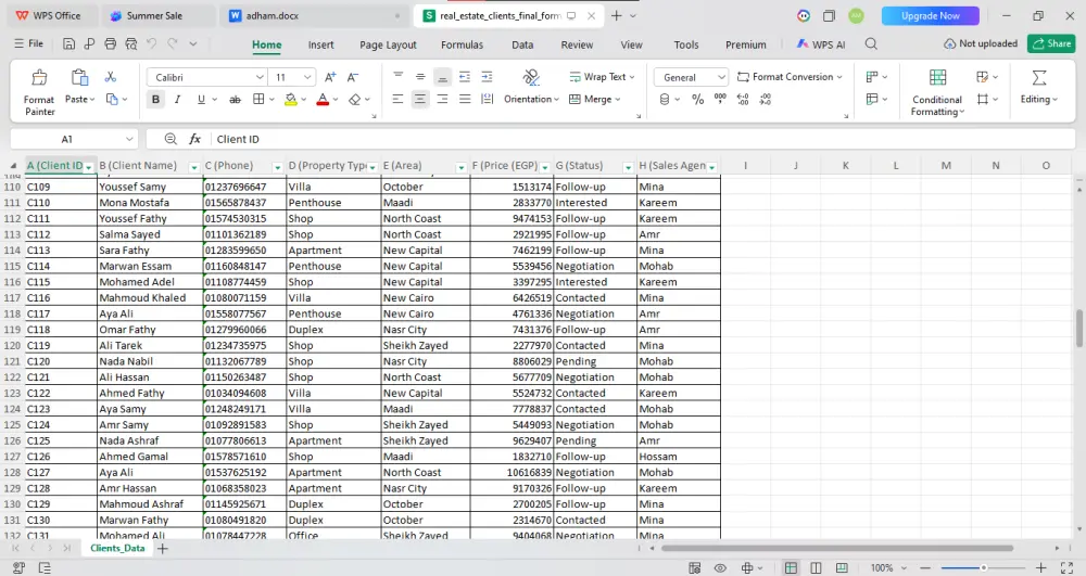 سأقوم بإدخال وتنظيم البيانات باحترافية باستخدام Excel وGoogle Sheets