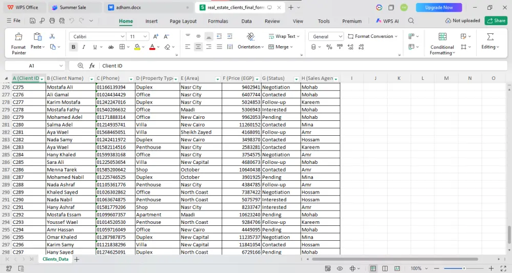 سأقوم بإدخال وتنظيم البيانات باحترافية باستخدام Excel وGoogle Sheets