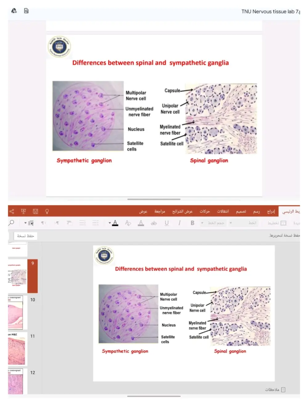تحويل PDF إلى Word وExcel وPowerPoint أو العكس باحترافية