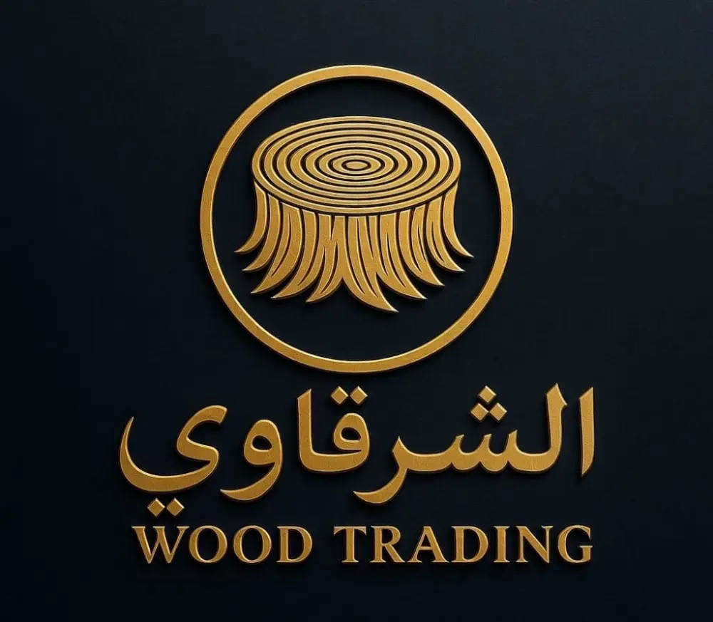 تصميم لوجو احترافي جذاب عصري