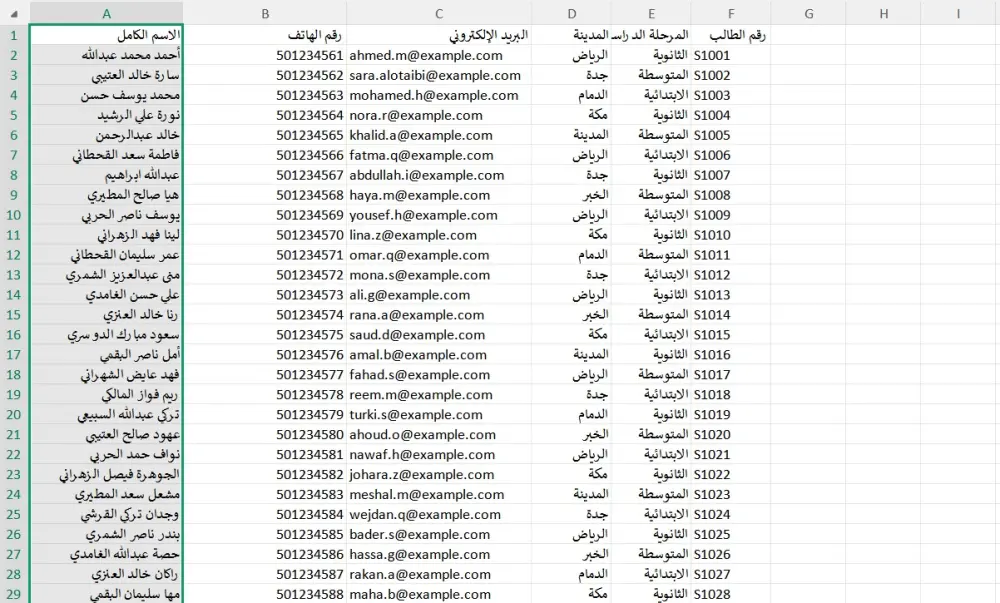إدخال البيانات (Data Entry) باحترافية ودقة عالية