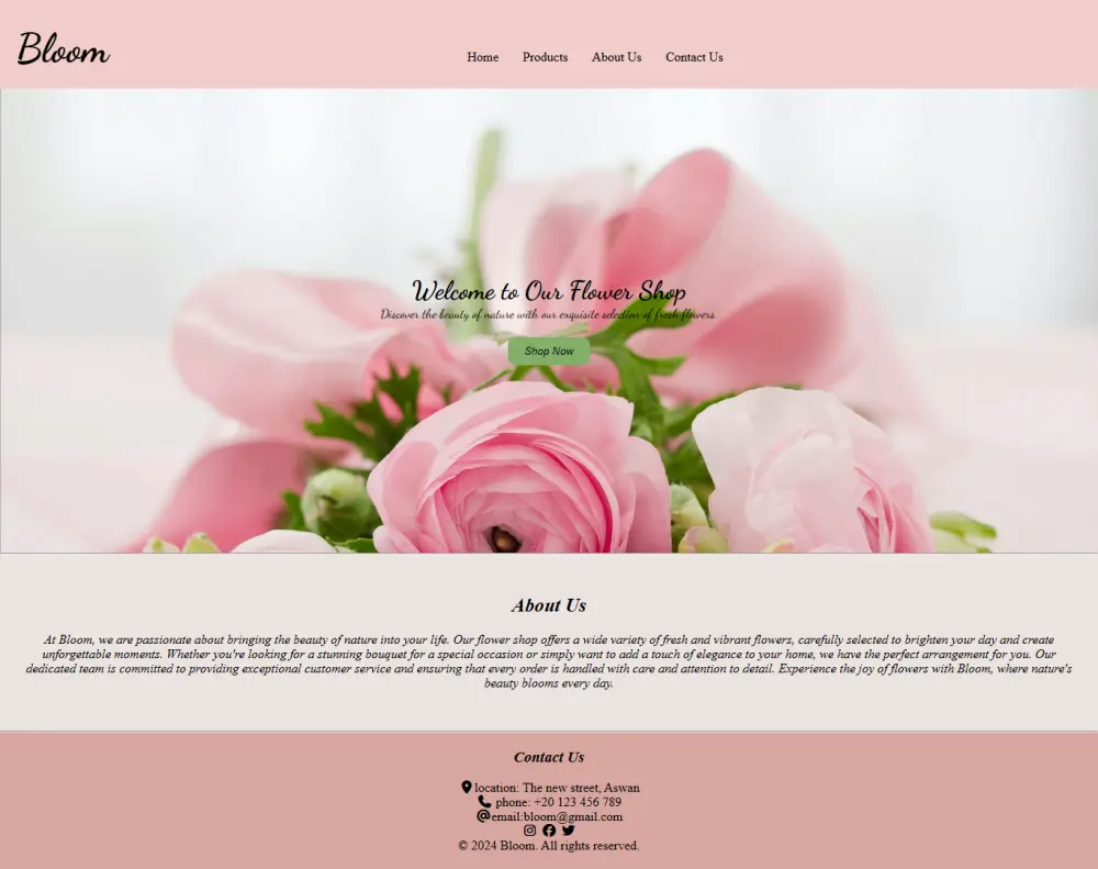 تصميم صفحة هبوط Landing Page احترافية