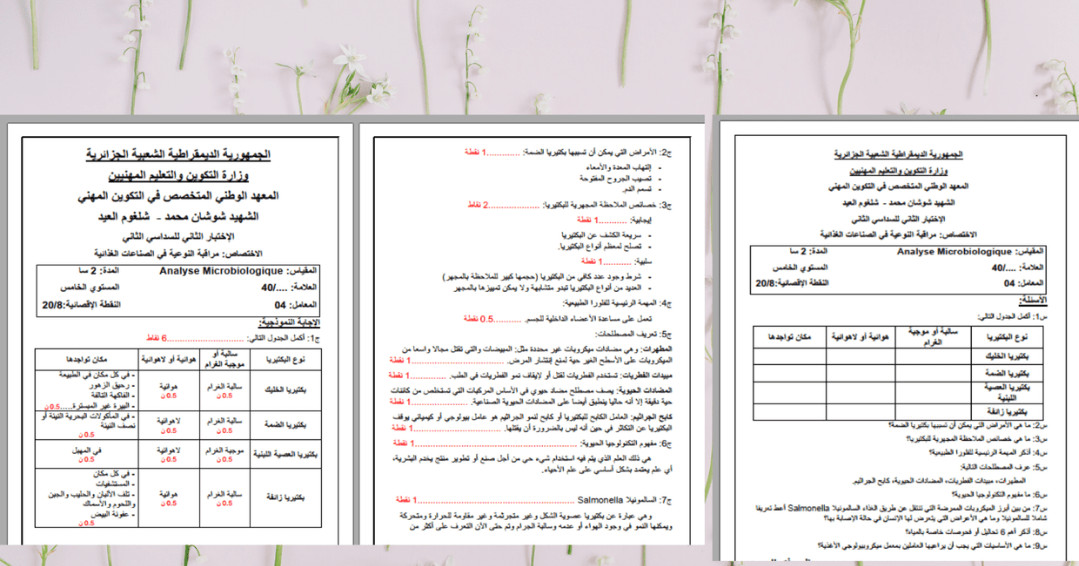تفريغ محتويات سواء pdf أو مكتوبة بخط اليد إلى وورد Word
