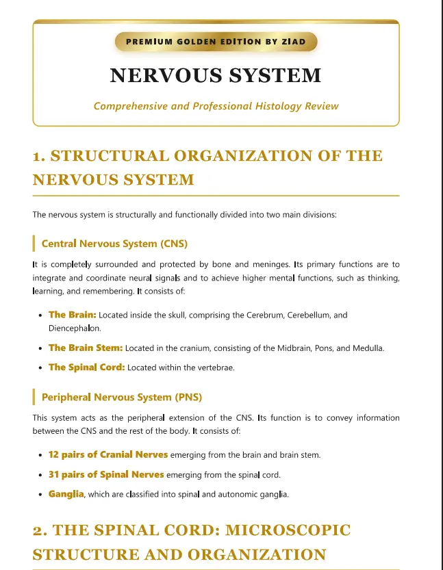 تصميم ملخصات PDF احترافية وفاخرة لمحتواك (مع صور عالية الجودة)