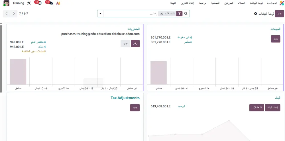 إعداد وتطبيق برنامج حسابات احترافي