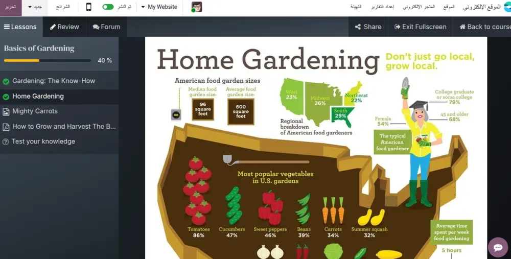 خدمة إنشاء موقع تعليمي (E-learning Website)