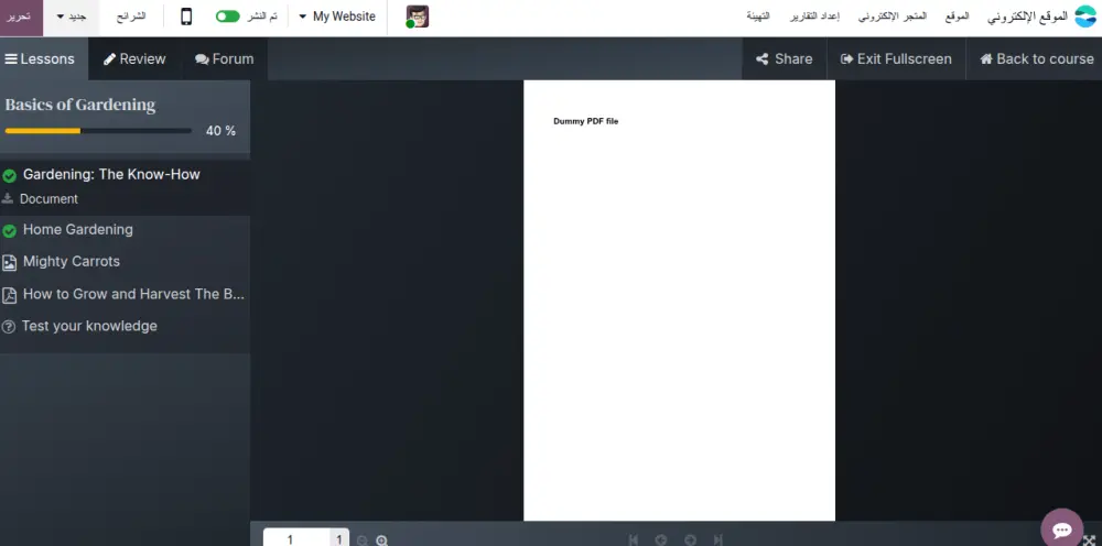 خدمة إنشاء موقع تعليمي (E-learning Website)
