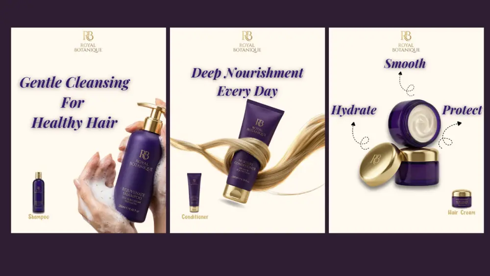 تصميم بوستات سوشيال ميديا Social Media Design