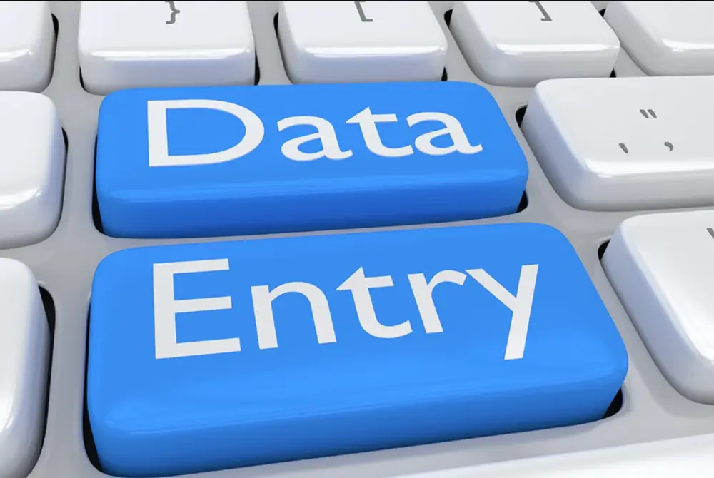 سأقوم بإدخال وتنظيم البيانات (Data Entry) بدقة عالية وبدون أخطاء على Excel أو Google Sheets