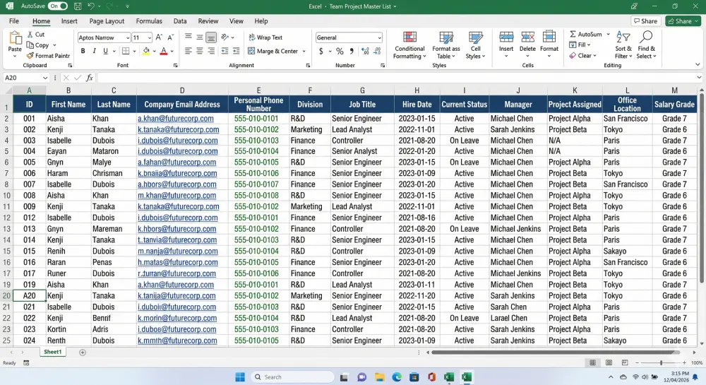 سأقوم بإدخال البيانات على Excel بدقة وسرعة عالية