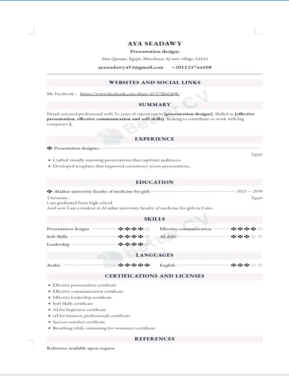 تصميم CV احترافي