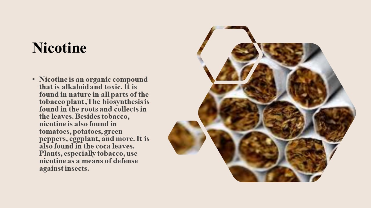 تصميم عرض بوربوينت من 20 شريحة احترافي