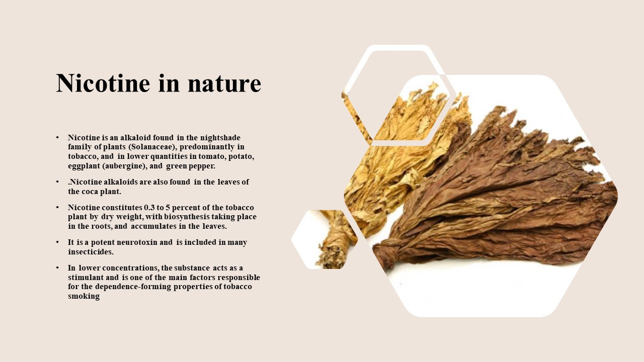 تصميم عرض بوربوينت من 20 شريحة احترافي