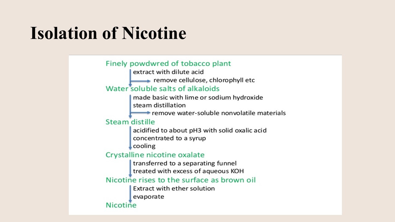 تصميم عرض بوربوينت من 20 شريحة احترافي