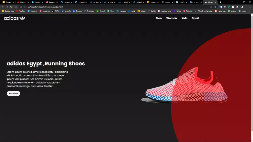 برمجة و تطوير المواقع