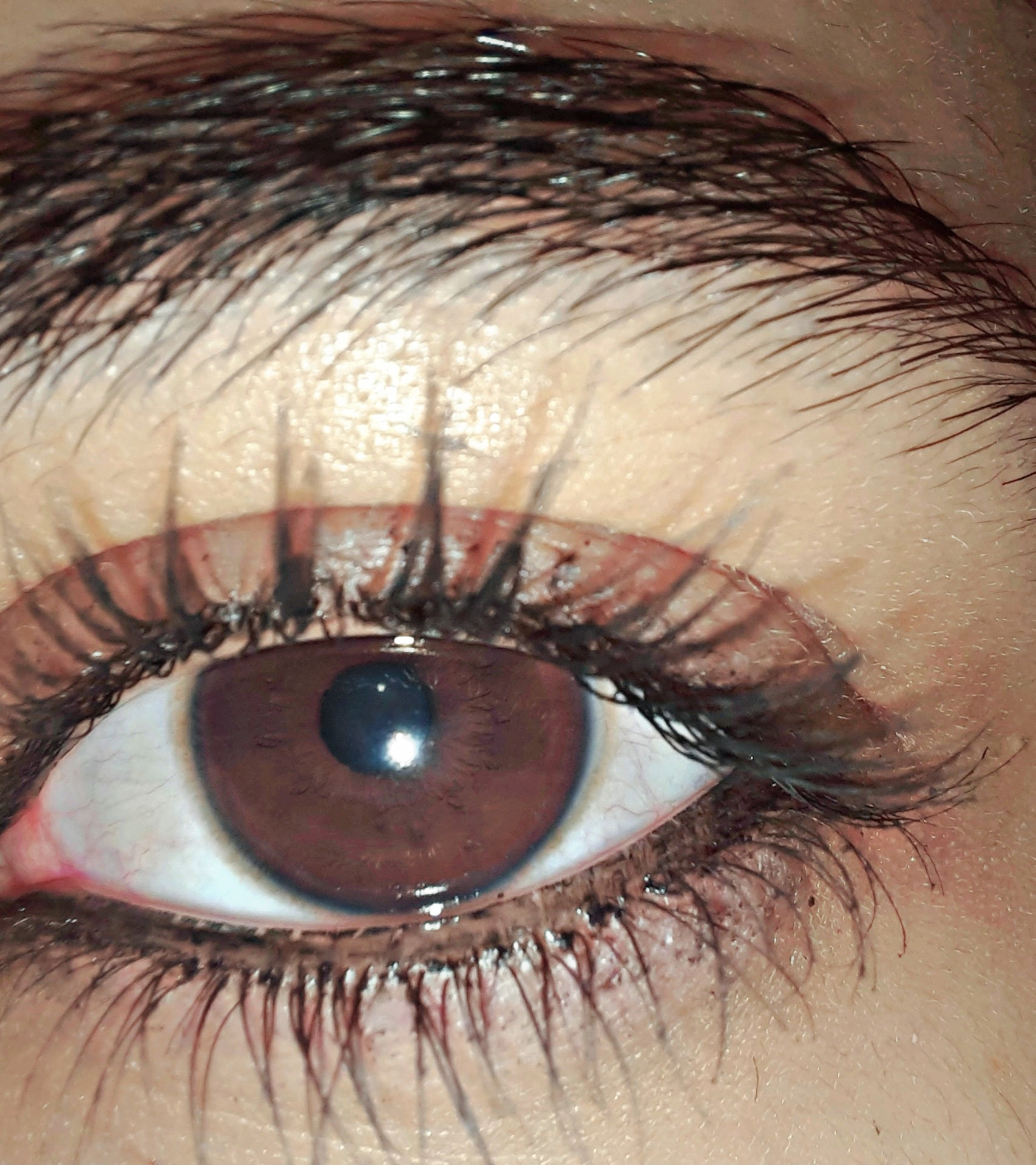 توضيح صور بشكل احترافي