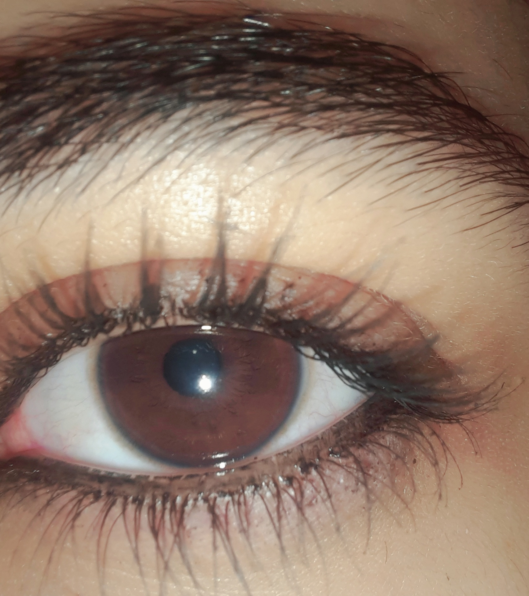 توضيح صور بشكل احترافي