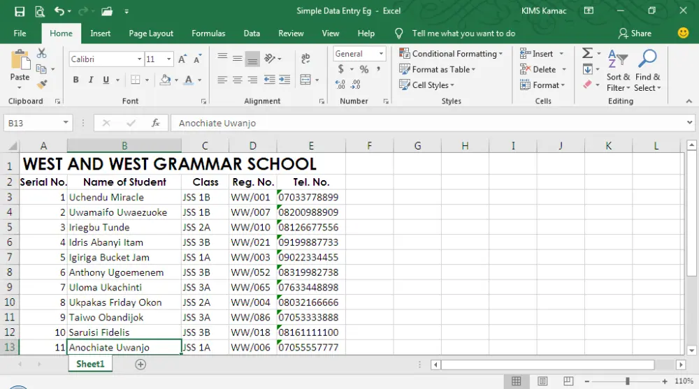 دخال البيانات على Excel باحترافية ودقة عالية + تنسيق كامل