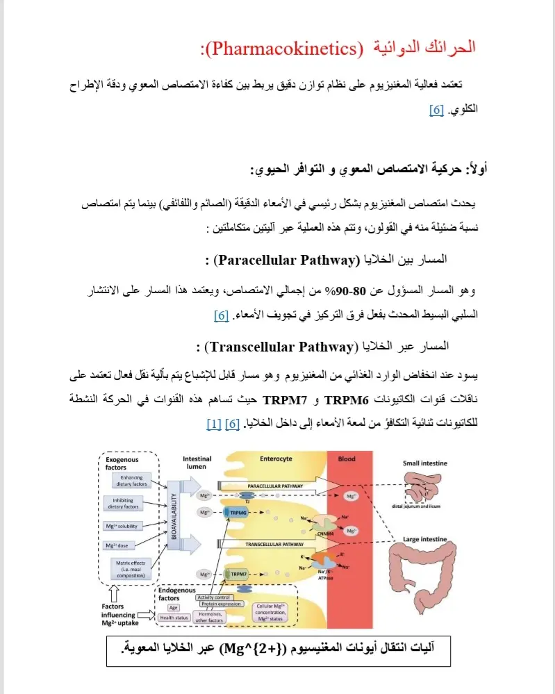 تحويل كتابة يدوية وملفات pdf إلى word بدقة عالية وتنسيق احترافي