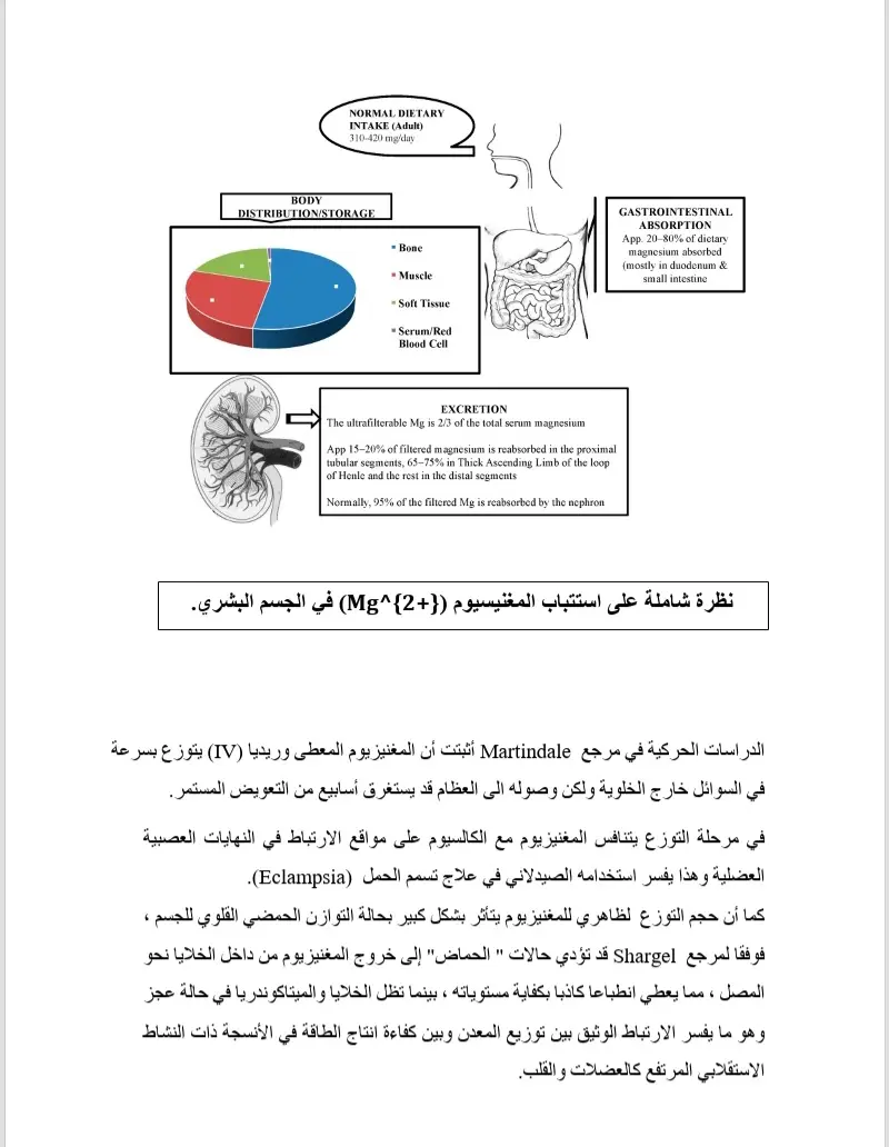 تحويل كتابة يدوية وملفات pdf إلى word بدقة عالية وتنسيق احترافي