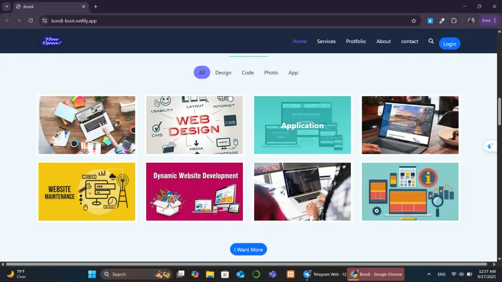 Professional Landing Page