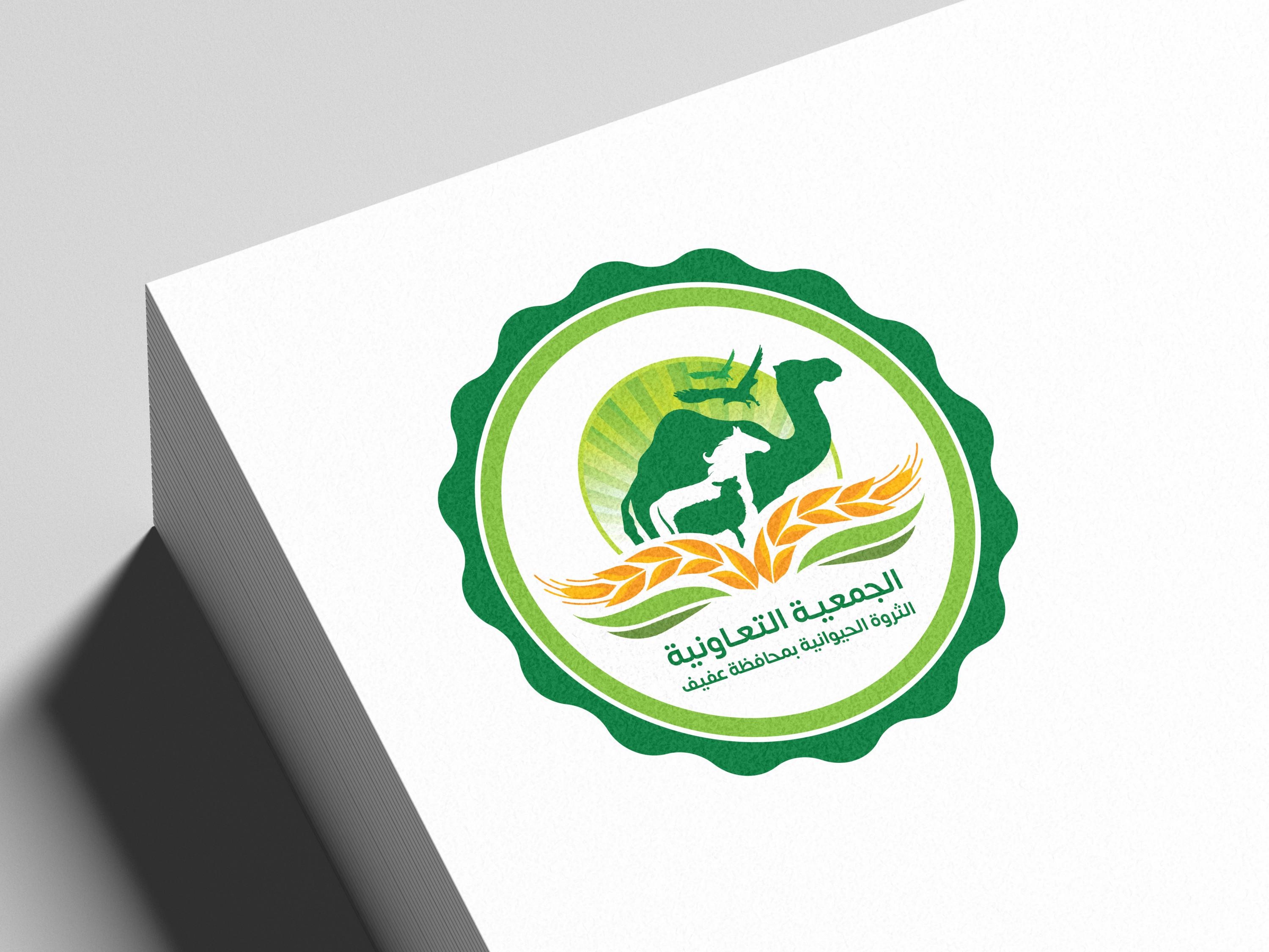 تصميم شعار إحترافي وهوية بصرية متكاملة + الدليل الإرشادي للهوية