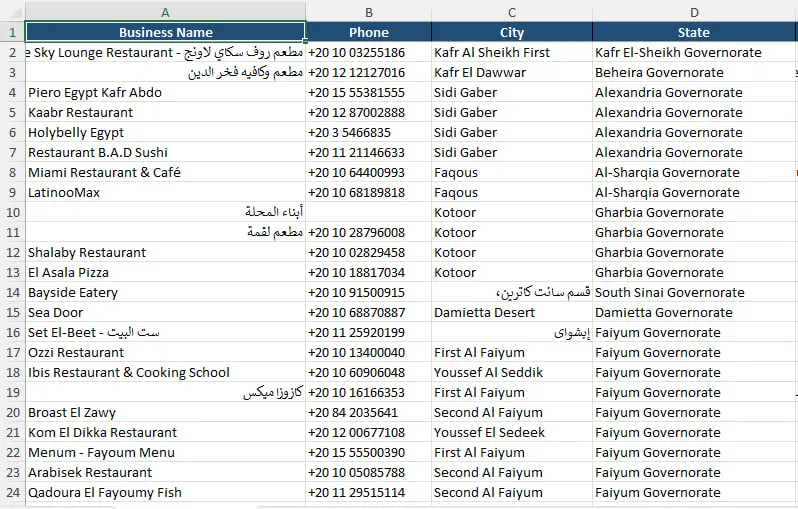 استخراج بيانات الشركات والمتاجر من Google Maps في ملف Excel