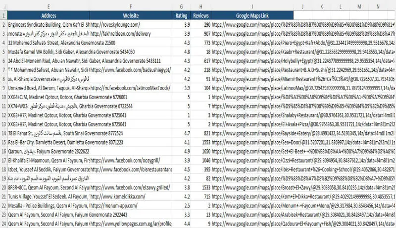 استخراج بيانات الشركات والمتاجر من Google Maps في ملف Excel