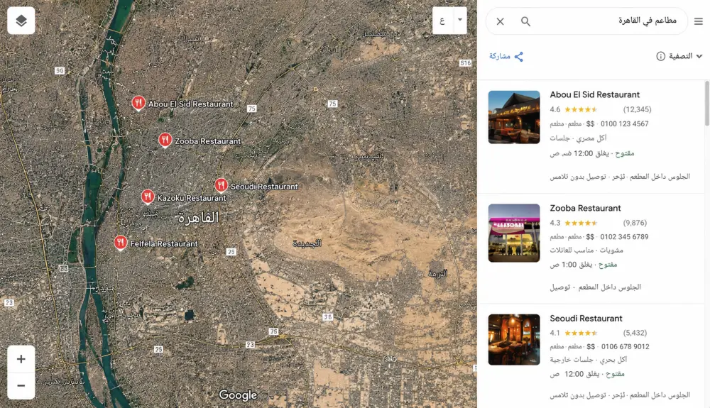 استخراج بيانات الشركات والمتاجر من Google Maps في ملف Excel