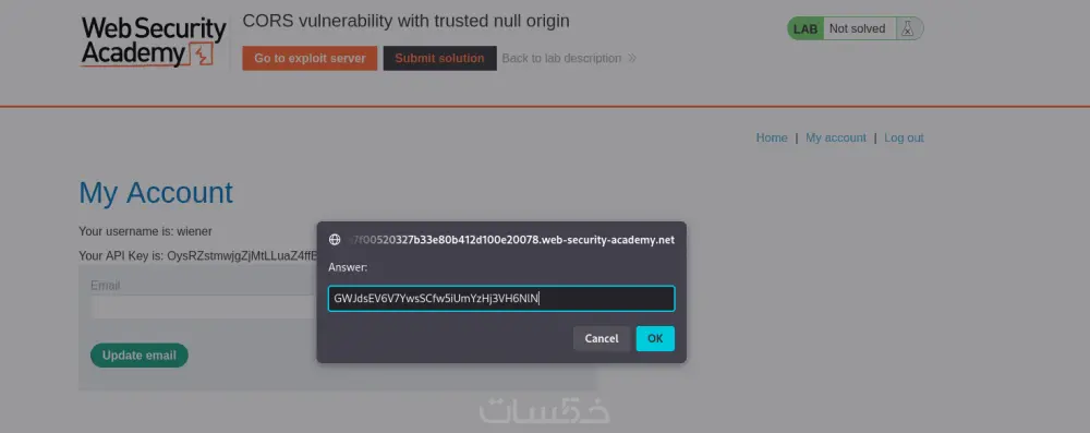 خدمة Pentesting كاملة لموقعك قبل ما يتم اختراقه