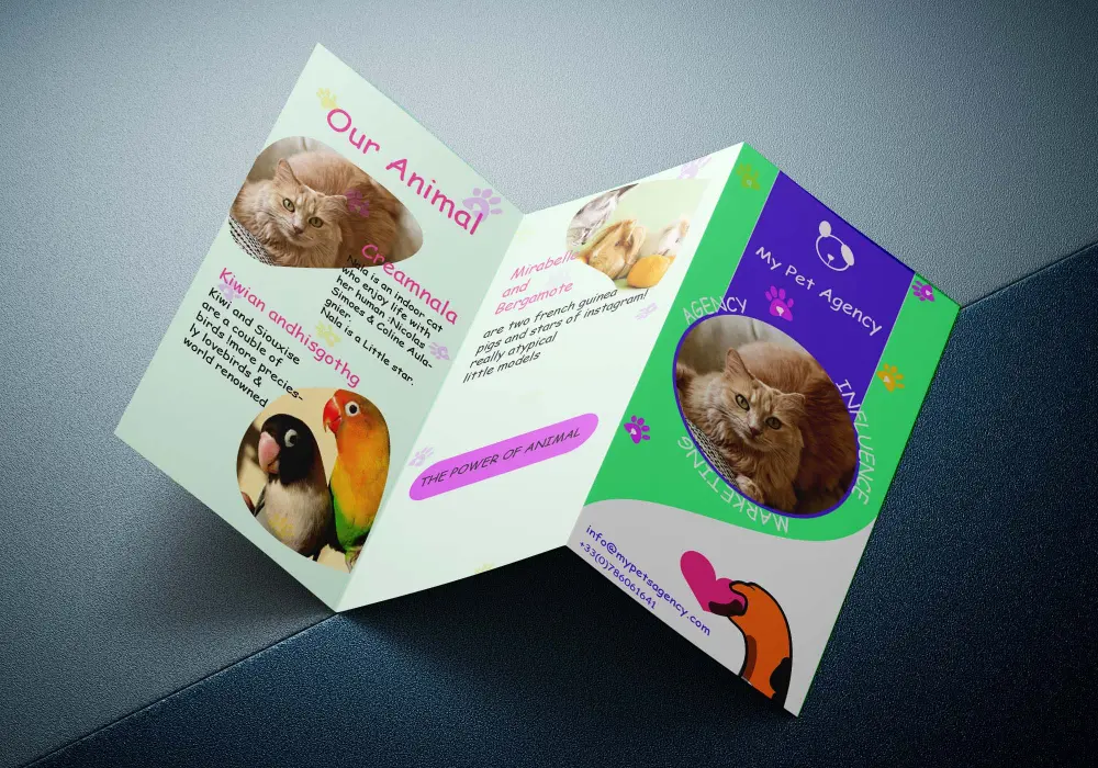 تصميم الهوية البصرية المتكاملة والمطبوعات الورقية (Stationery & Marketing Materials)