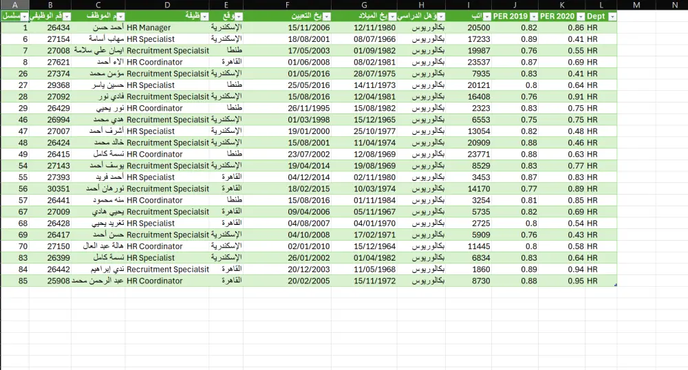 تحليل البيانات بإستخدام Excel