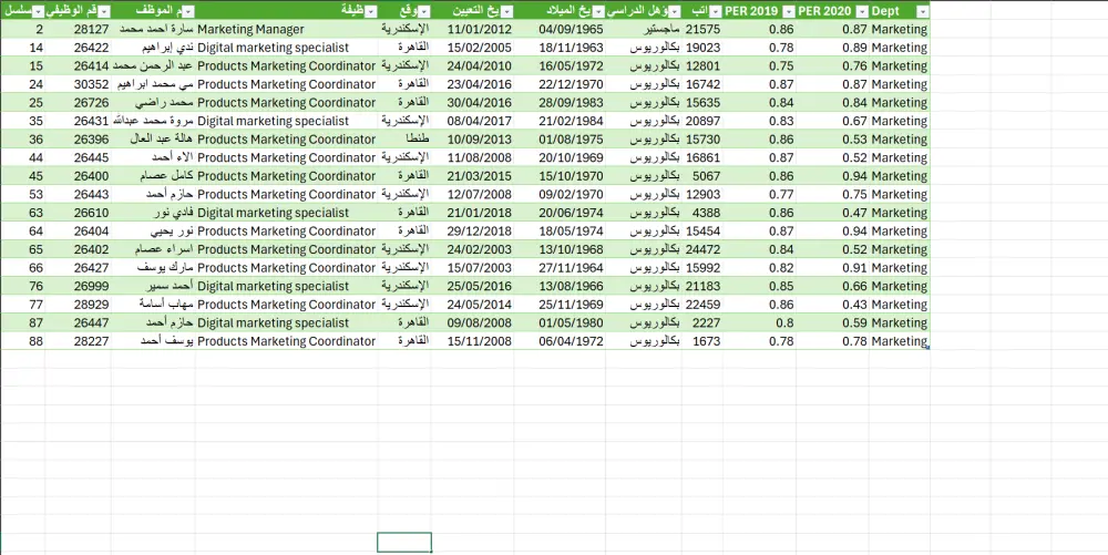 تحليل البيانات بإستخدام Excel