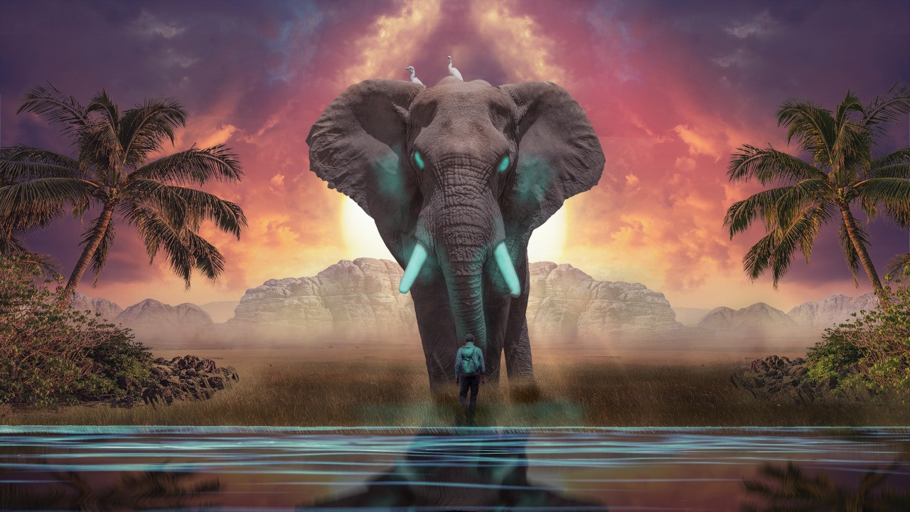 تصميم سوشيال ميديا و كروت شخصيه