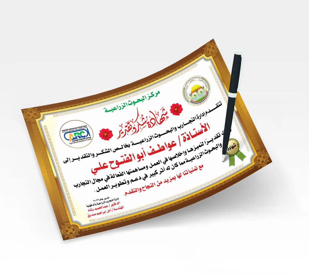 تصميم شهادة تقدير احترافية جاهزة للطباعة